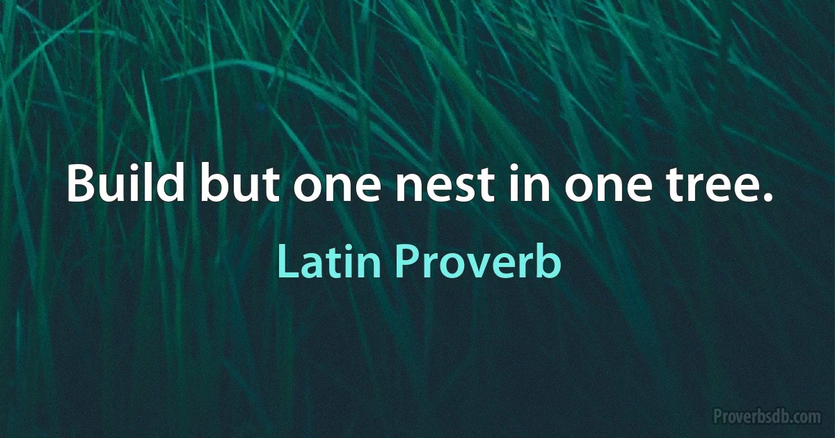 Build but one nest in one tree. (Latin Proverb)