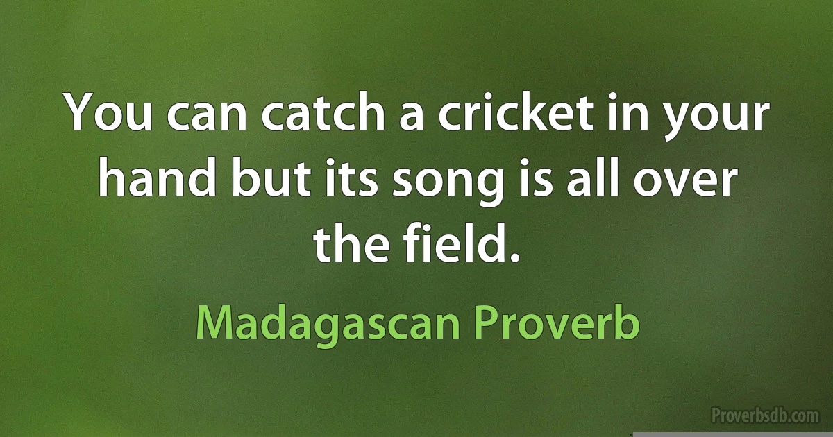 You can catch a cricket in your hand but its song is all over the field. (Madagascan Proverb)