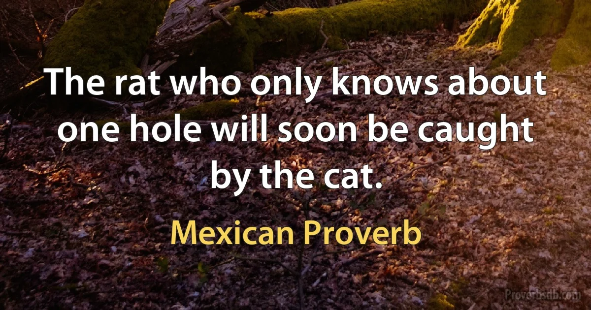 The rat who only knows about one hole will soon be caught by the cat. (Mexican Proverb)