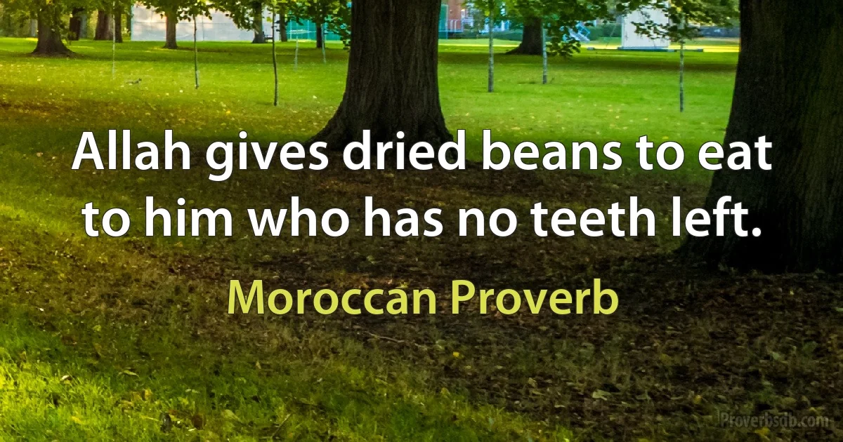 Allah gives dried beans to eat to him who has no teeth left. (Moroccan Proverb)