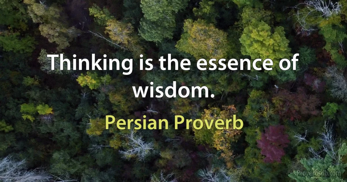 Thinking is the essence of wisdom. (Persian Proverb)