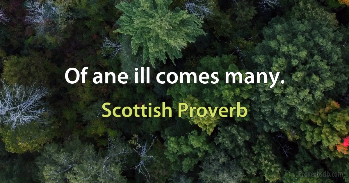 Of ane ill comes many. (Scottish Proverb)