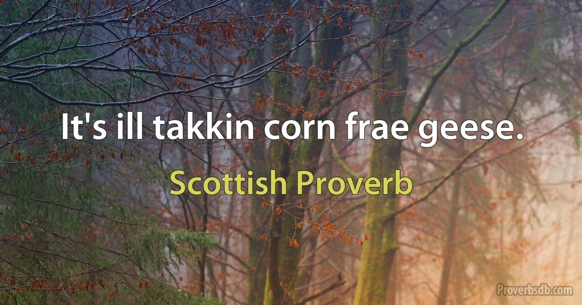 It's ill takkin corn frae geese. (Scottish Proverb)