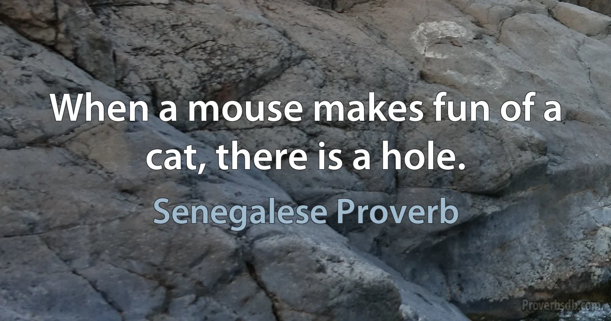 When a mouse makes fun of a cat, there is a hole. (Senegalese Proverb)