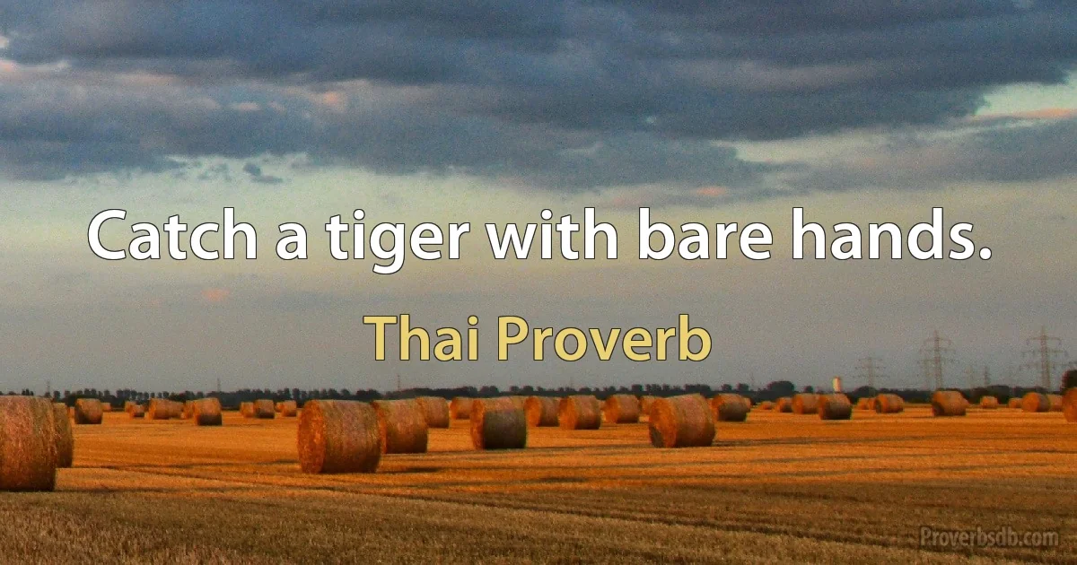 Catch a tiger with bare hands. (Thai Proverb)