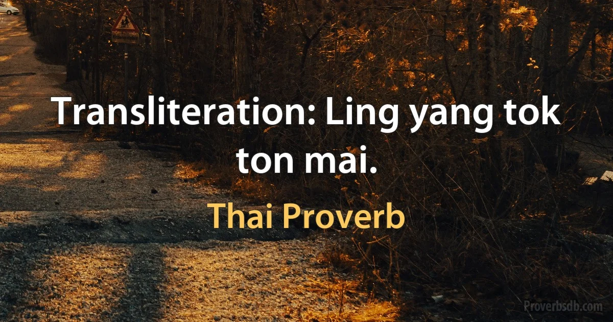 Transliteration: Ling yang tok ton mai. (Thai Proverb)