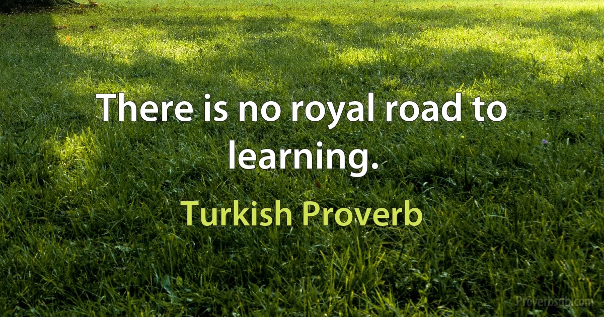 There is no royal road to learning. (Turkish Proverb)