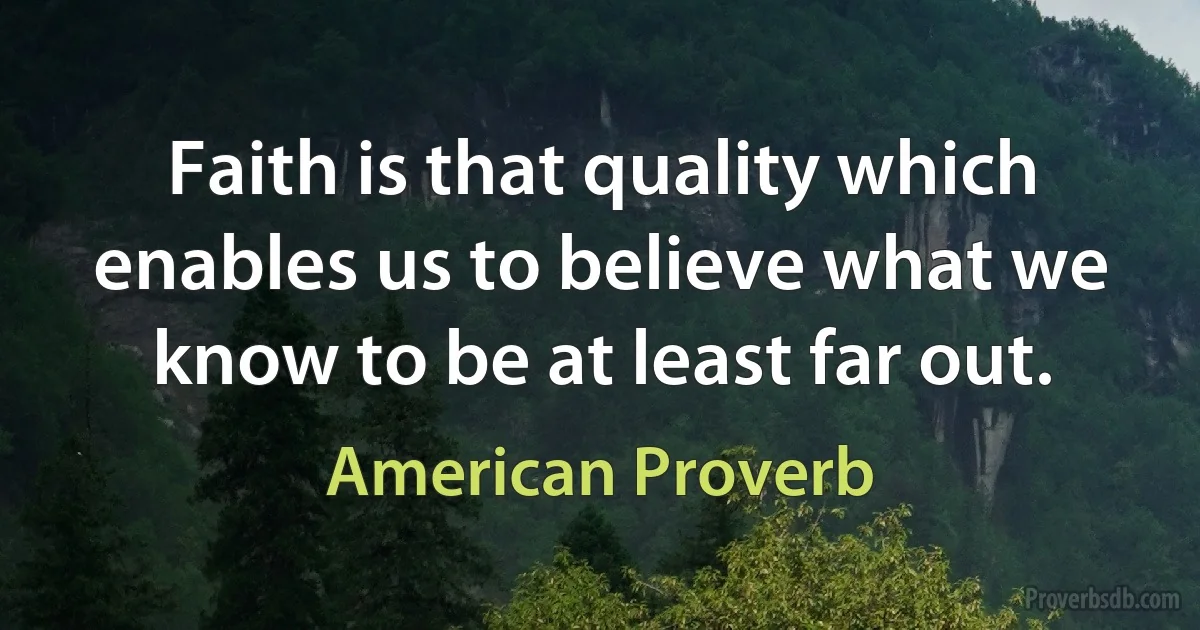 Faith is that quality which enables us to believe what we know to be at least far out. (American Proverb)