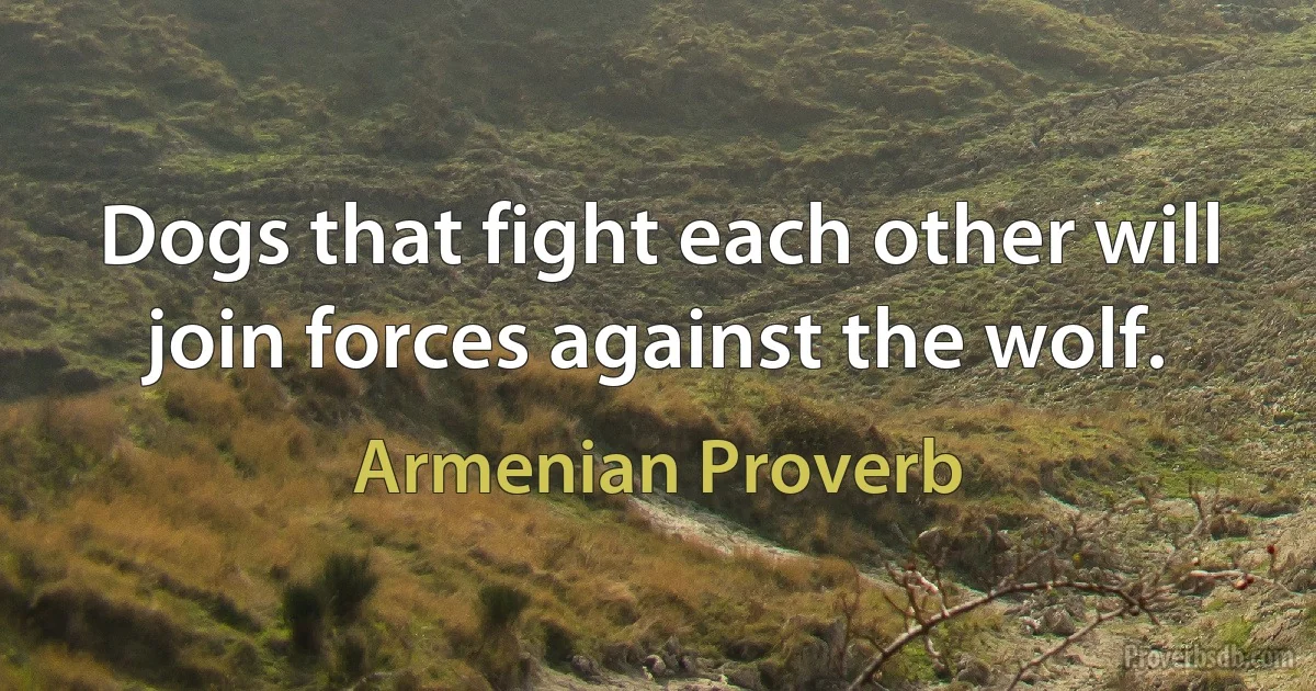 Dogs that fight each other will join forces against the wolf. (Armenian Proverb)