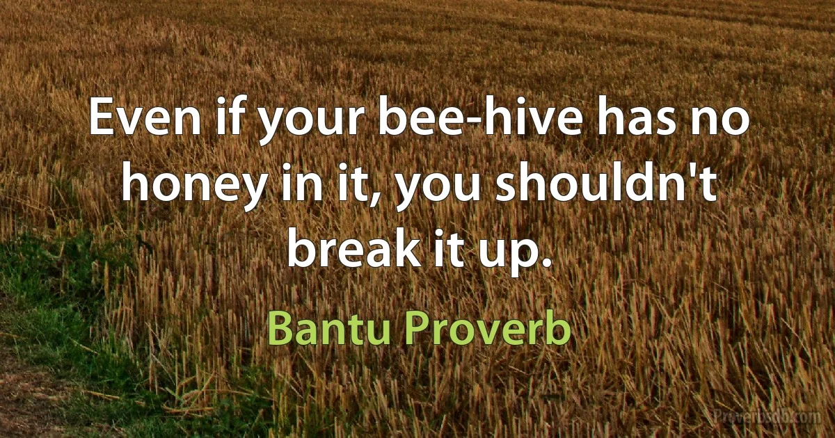 Even if your bee-hive has no honey in it, you shouldn't break it up. (Bantu Proverb)