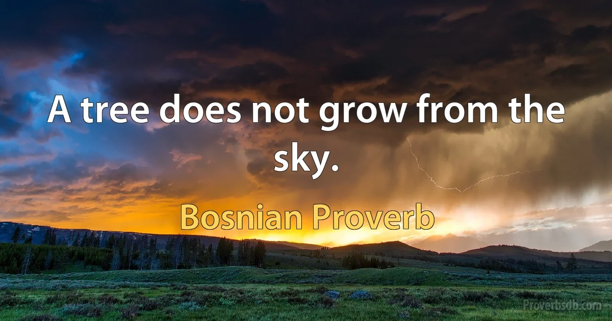 A tree does not grow from the sky. (Bosnian Proverb)