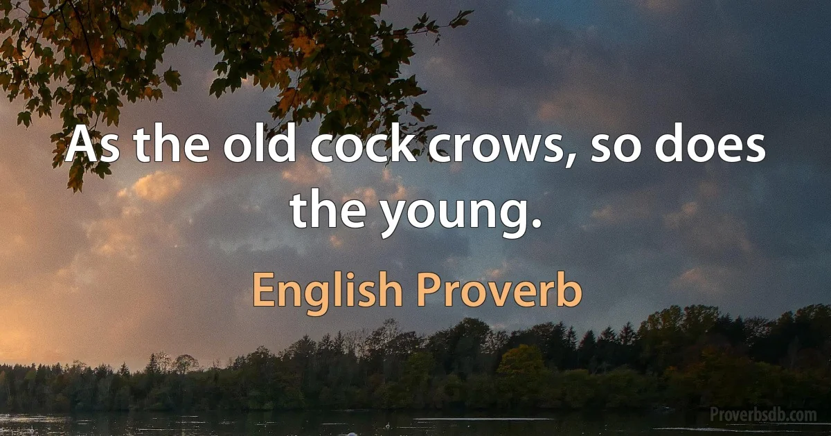 As the old cock crows, so does the young. (English Proverb)