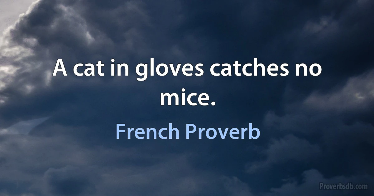 A cat in gloves catches no mice. (French Proverb)