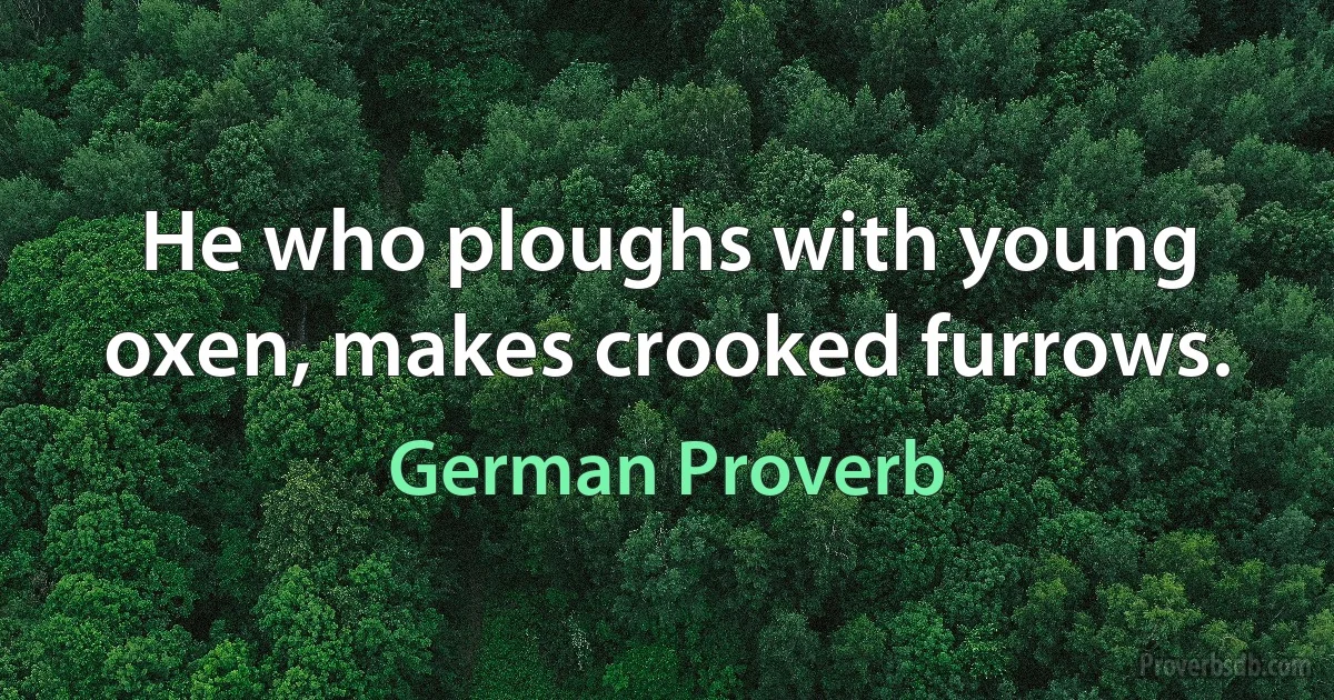 He who ploughs with young oxen, makes crooked furrows. (German Proverb)