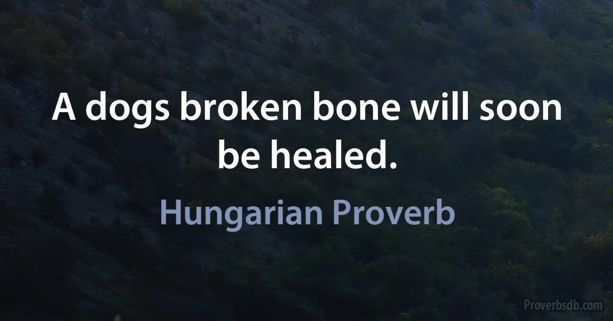 A dogs broken bone will soon be healed. (Hungarian Proverb)