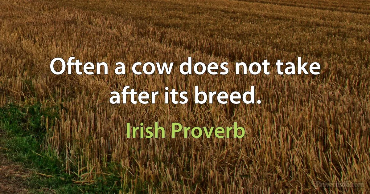 Often a cow does not take after its breed. (Irish Proverb)