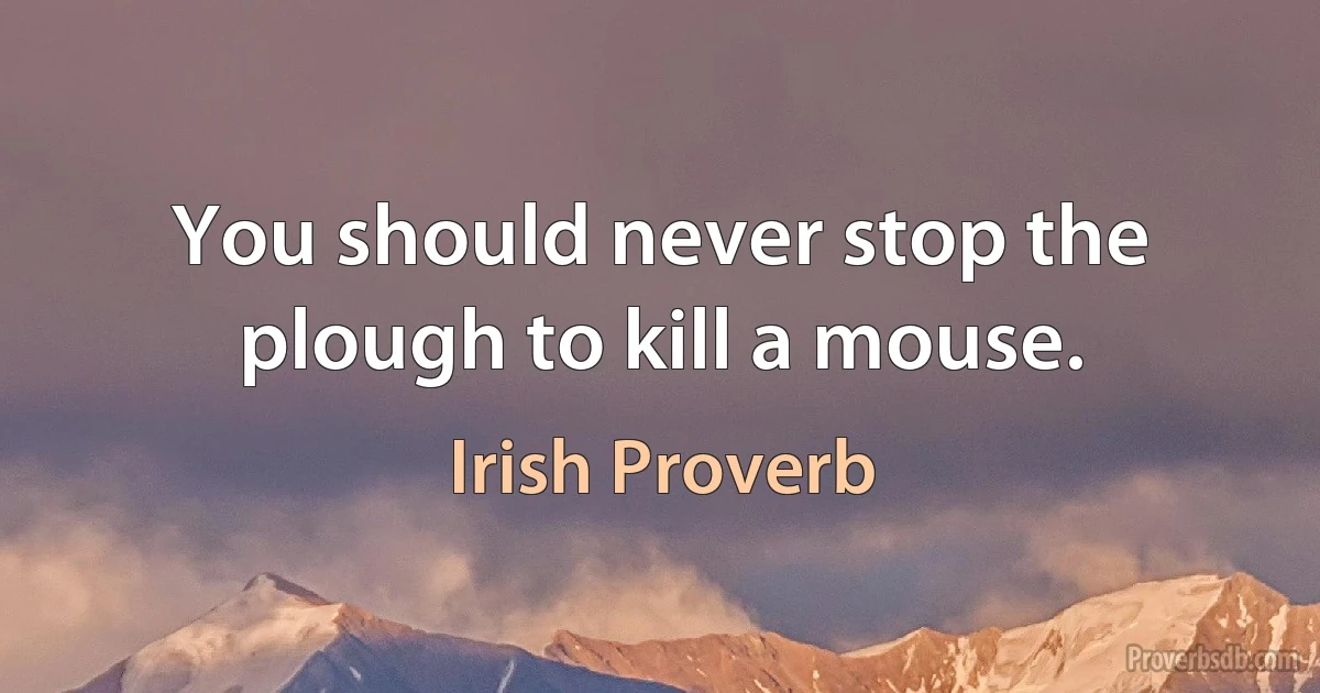 You should never stop the plough to kill a mouse. (Irish Proverb)