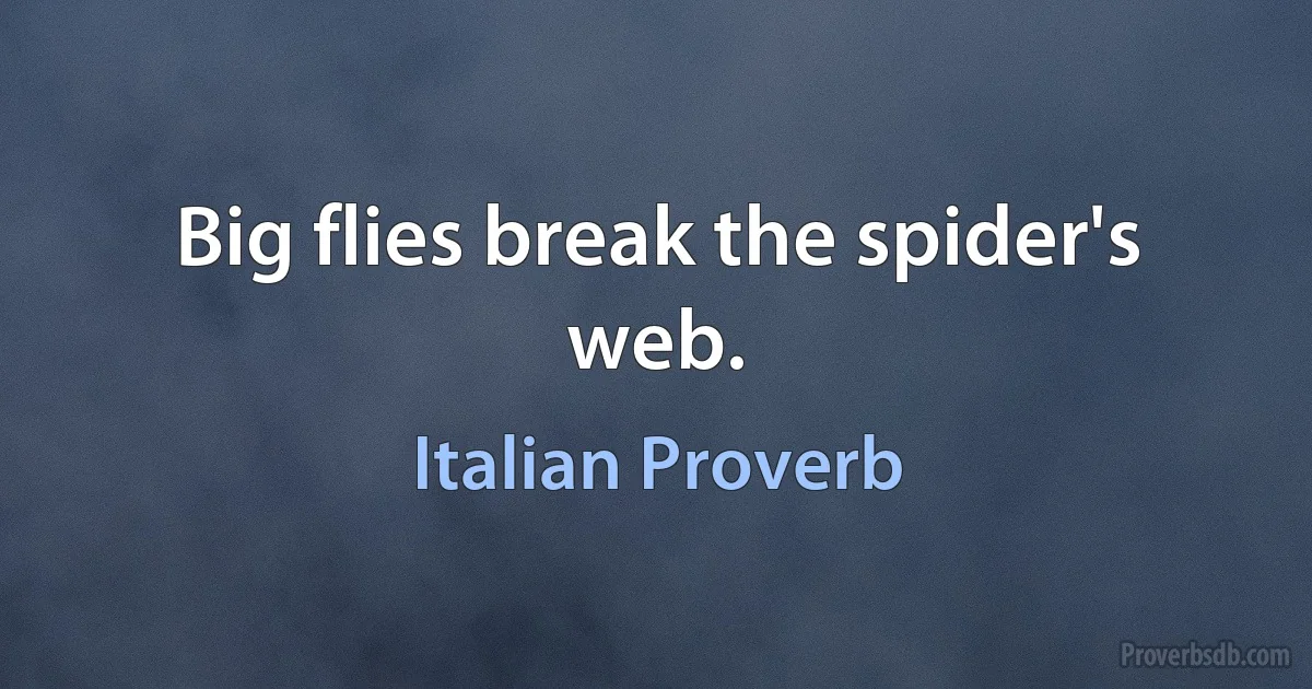 Big flies break the spider's web. (Italian Proverb)