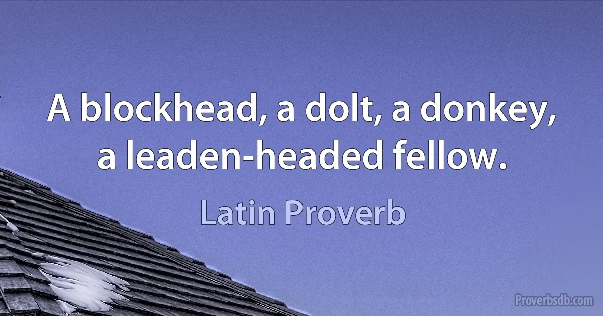 A blockhead, a dolt, a donkey, a leaden-headed fellow. (Latin Proverb)