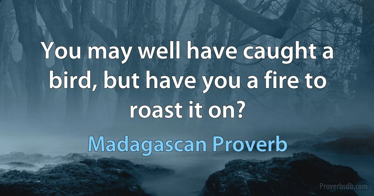 You may well have caught a bird, but have you a fire to roast it on? (Madagascan Proverb)