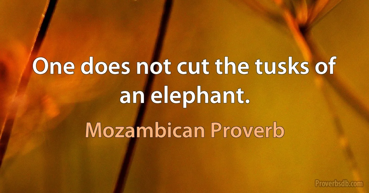 One does not cut the tusks of an elephant. (Mozambican Proverb)