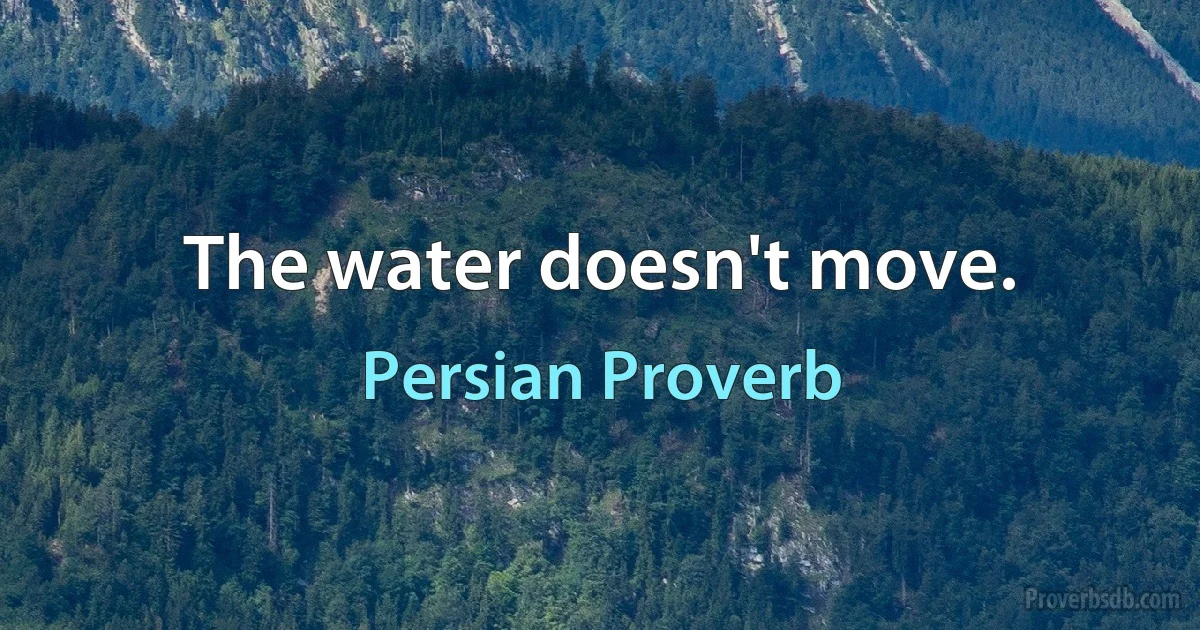 The water doesn't move. (Persian Proverb)