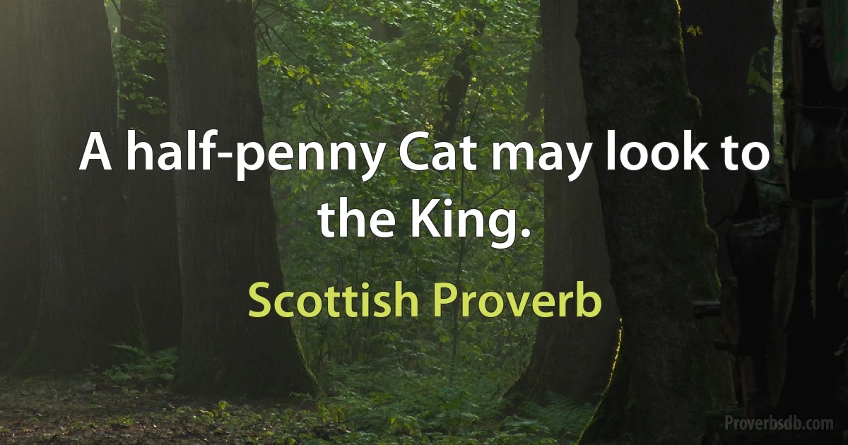 A half-penny Cat may look to the King. (Scottish Proverb)