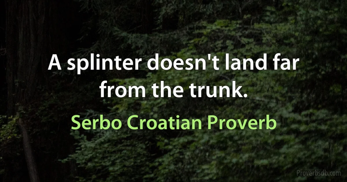 A splinter doesn't land far from the trunk. (Serbo Croatian Proverb)