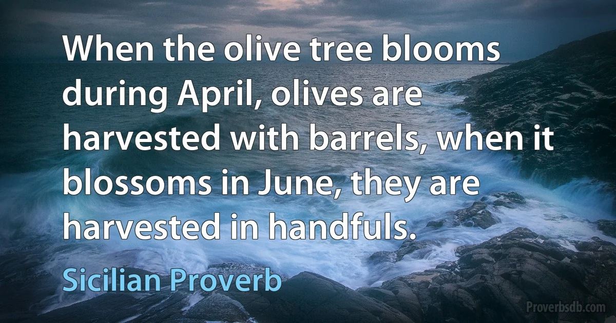 When the olive tree blooms during April, olives are harvested with barrels, when it blossoms in June, they are harvested in handfuls. (Sicilian Proverb)