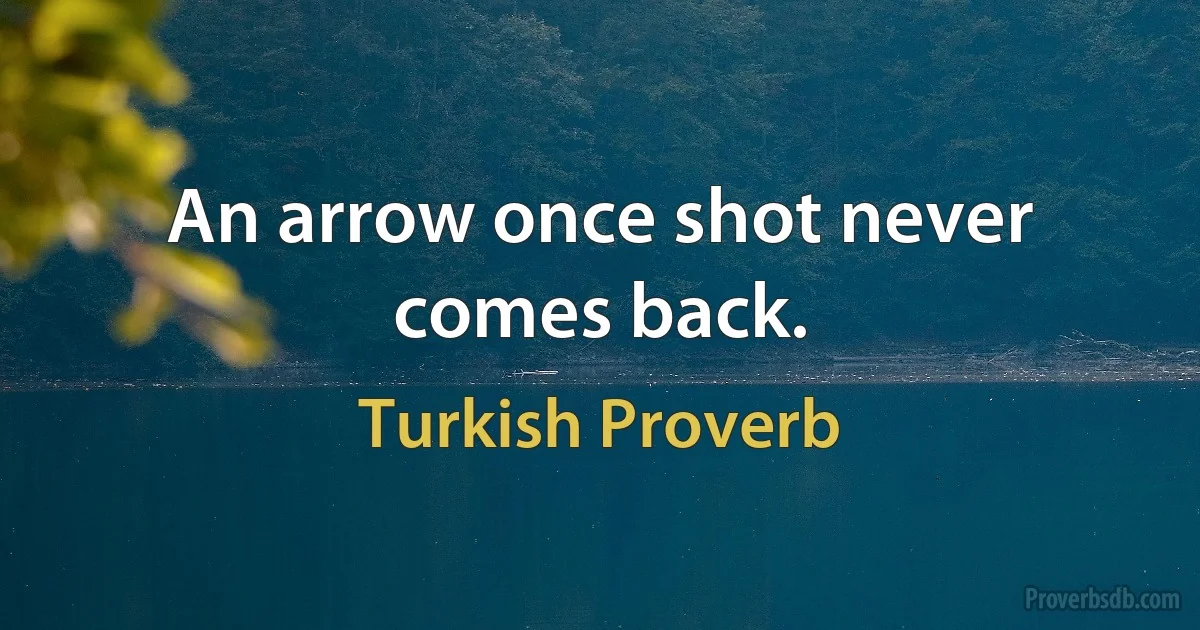 An arrow once shot never comes back. (Turkish Proverb)