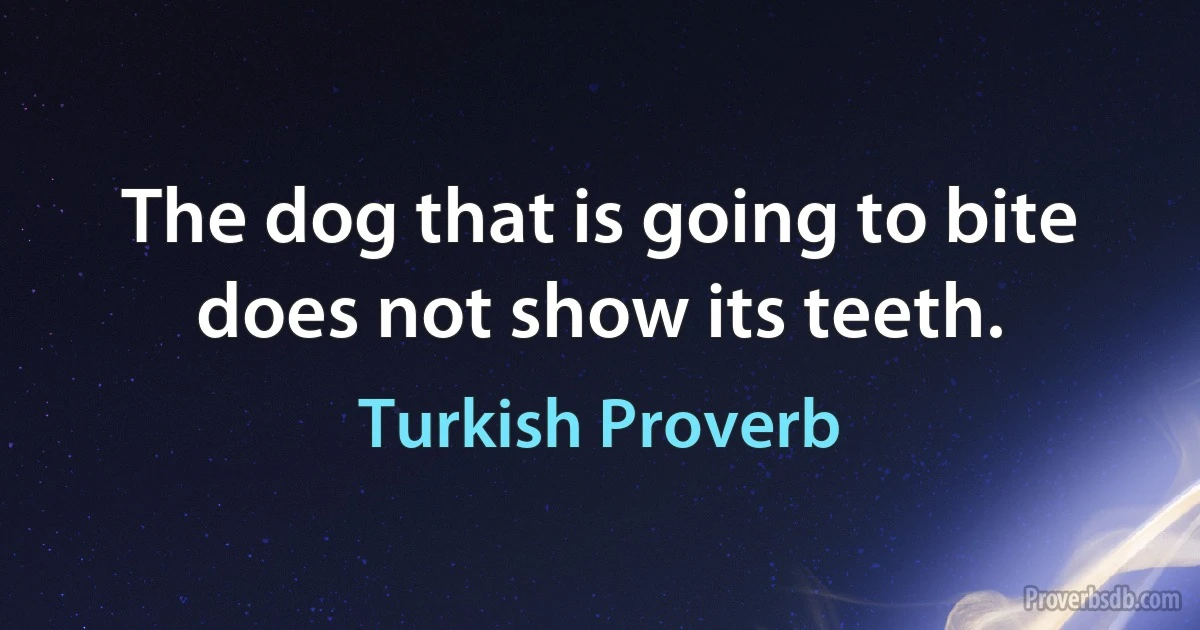 The dog that is going to bite does not show its teeth. (Turkish Proverb)