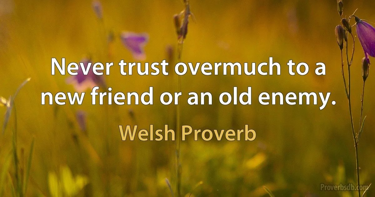 Never trust overmuch to a new friend or an old enemy. (Welsh Proverb)