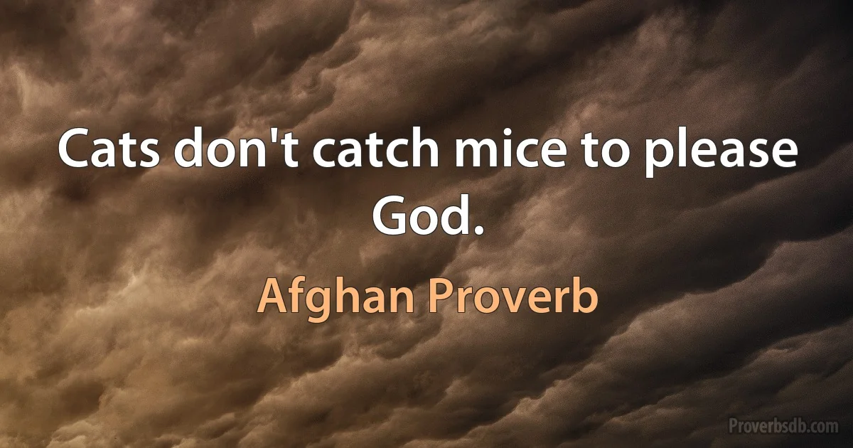 Cats don't catch mice to please God. (Afghan Proverb)