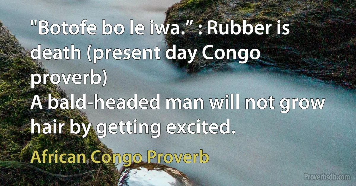 "Botofe bo le iwa.” : Rubber is death (present day Congo proverb)
A bald-headed man will not grow hair by getting excited. (African Congo Proverb)