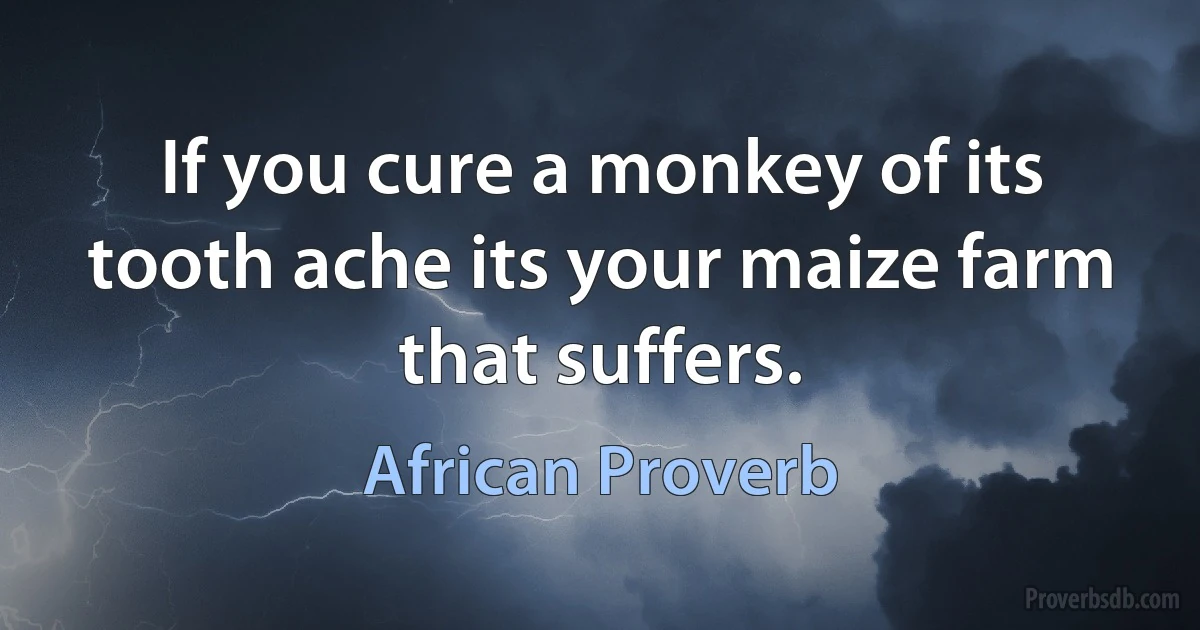 If you cure a monkey of its tooth ache its your maize farm that suffers. (African Proverb)