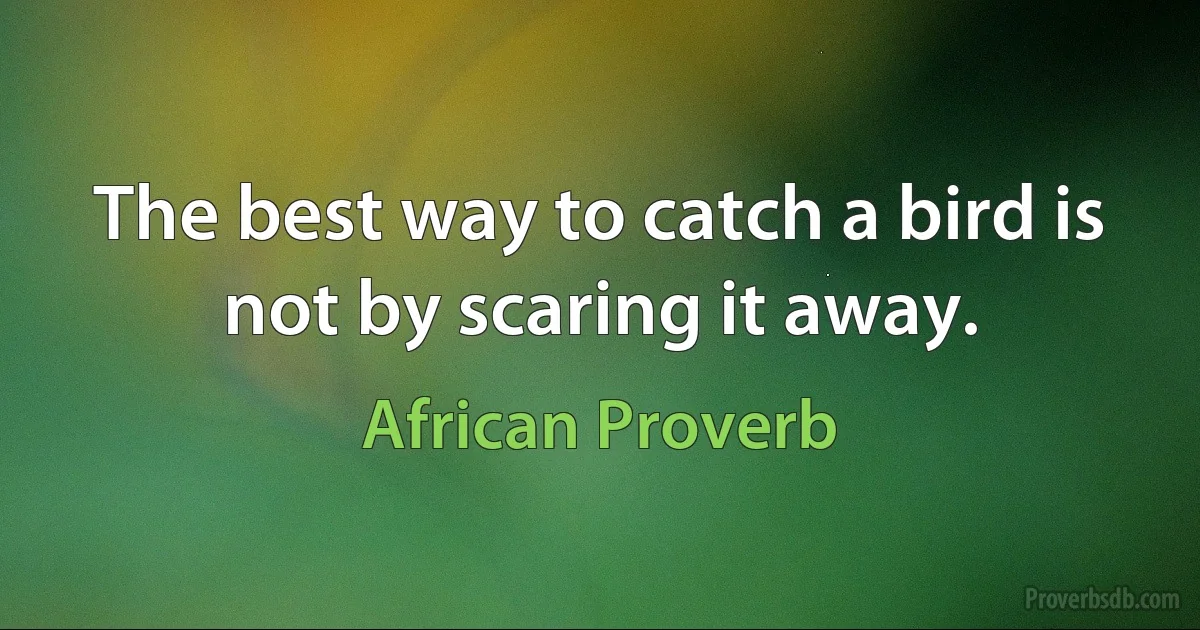 The best way to catch a bird is not by scaring it away. (African Proverb)