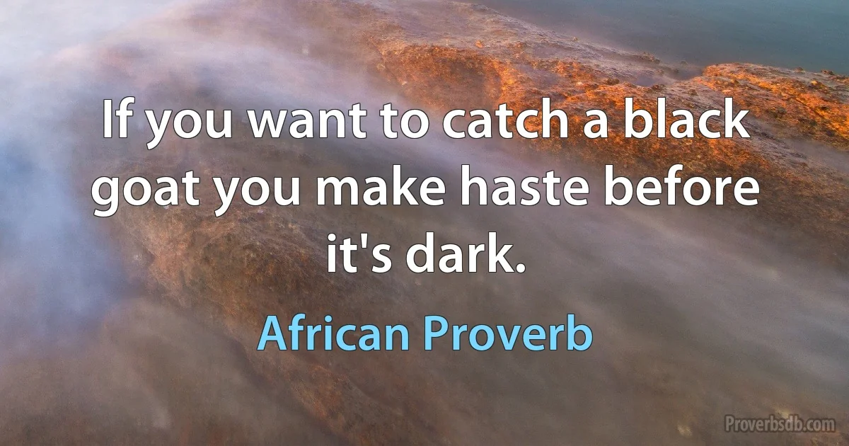 If you want to catch a black goat you make haste before it's dark. (African Proverb)