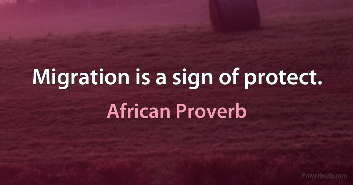 Migration is a sign of protect. (African Proverb)