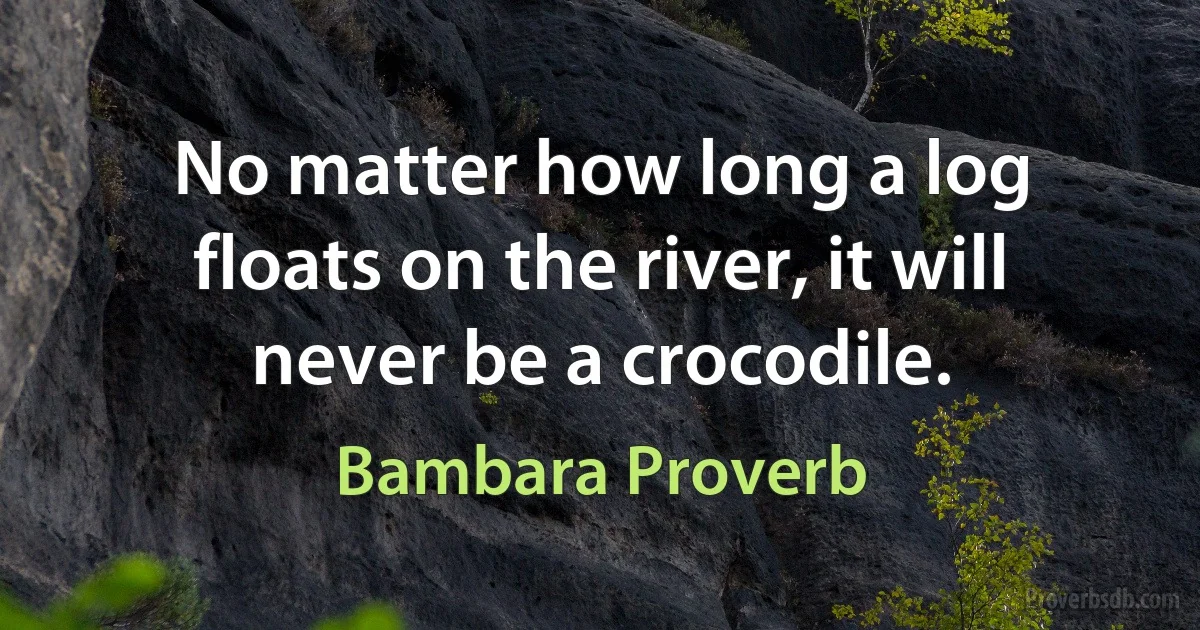 No matter how long a log floats on the river, it will never be a crocodile. (Bambara Proverb)