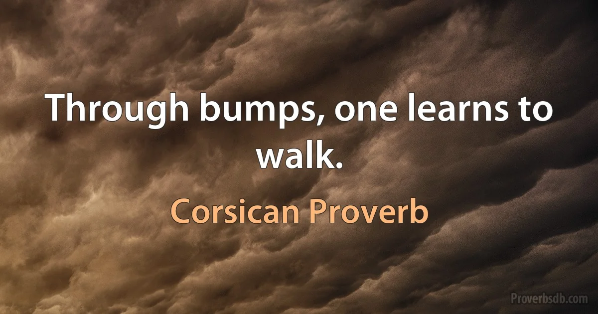 Through bumps, one learns to walk. (Corsican Proverb)