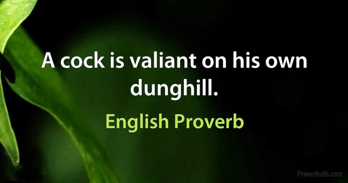 A cock is valiant on his own dunghill. (English Proverb)