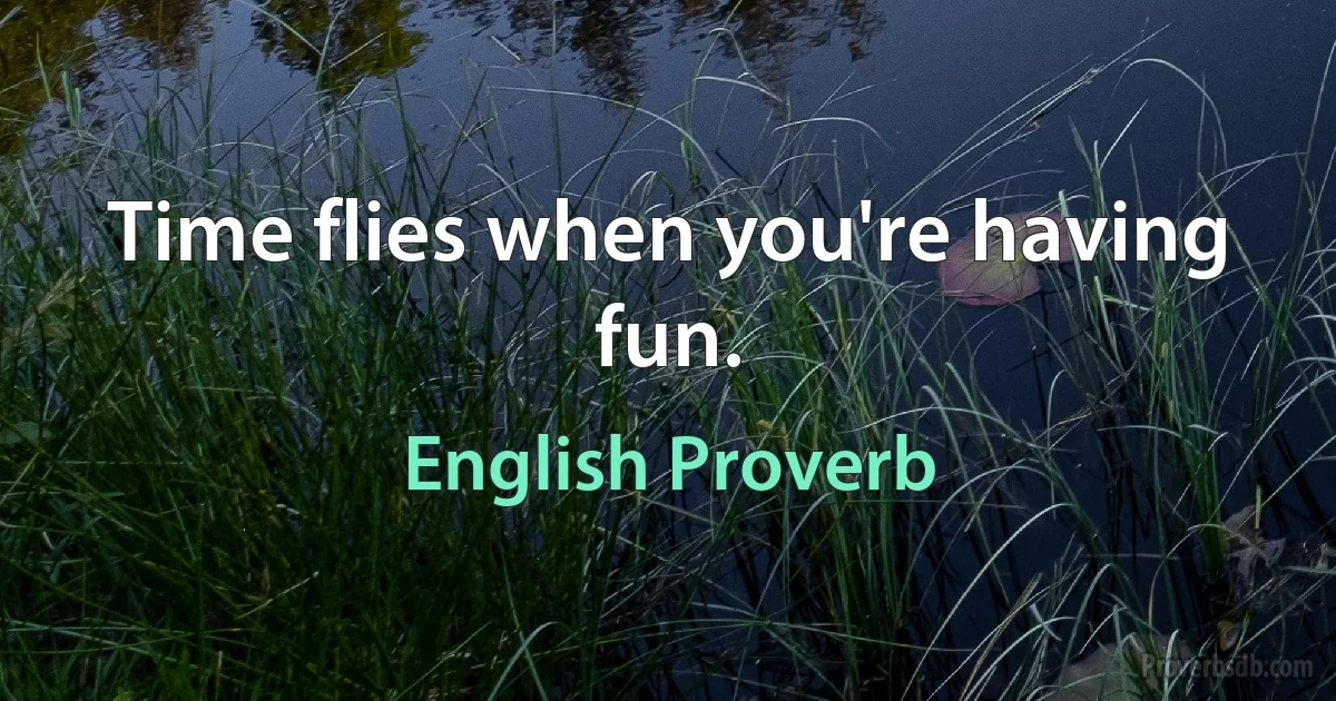 Time flies when you're having fun. (English Proverb)