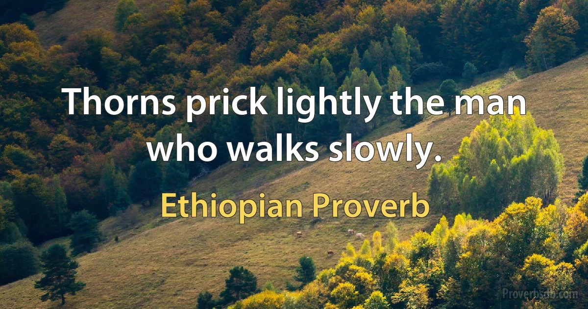 Thorns prick lightly the man who walks slowly. (Ethiopian Proverb)