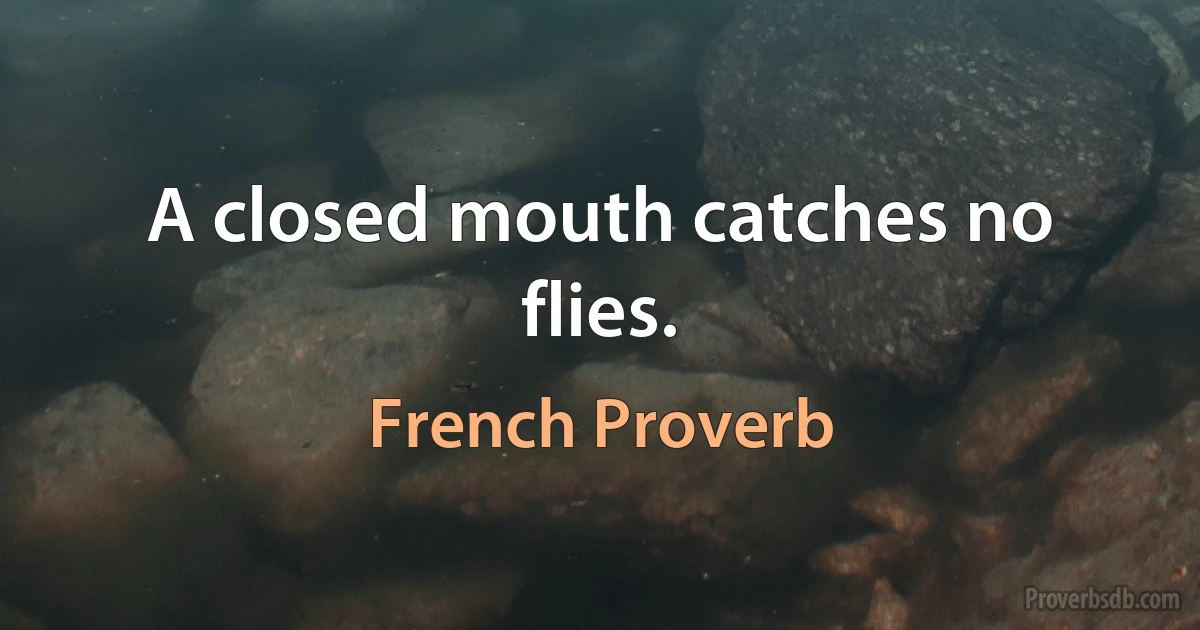 A closed mouth catches no flies. (French Proverb)