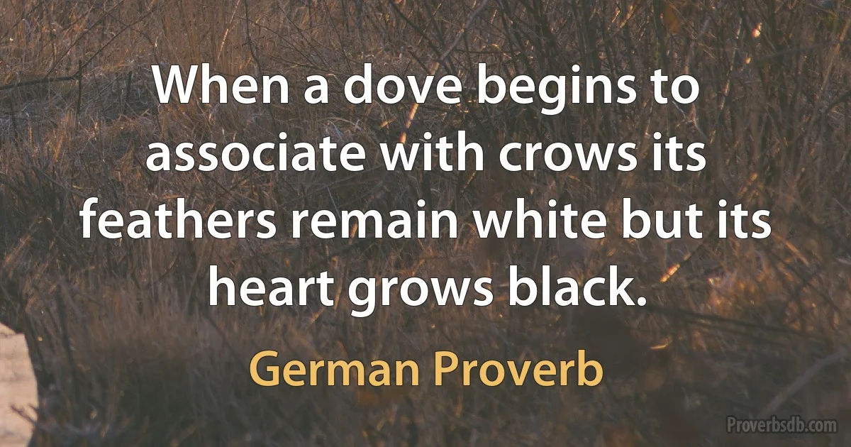 When a dove begins to associate with crows its feathers remain white but its heart grows black. (German Proverb)