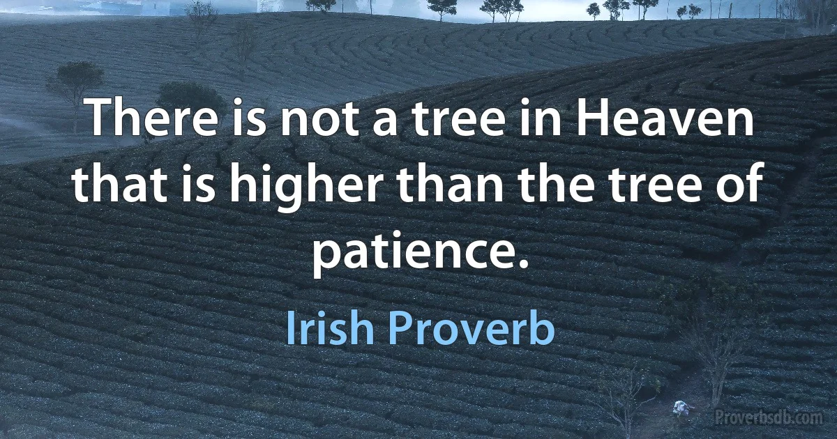 There is not a tree in Heaven that is higher than the tree of patience. (Irish Proverb)