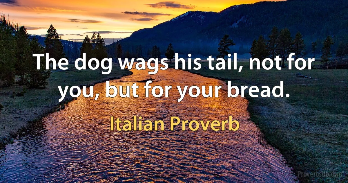 The dog wags his tail, not for you, but for your bread. (Italian Proverb)