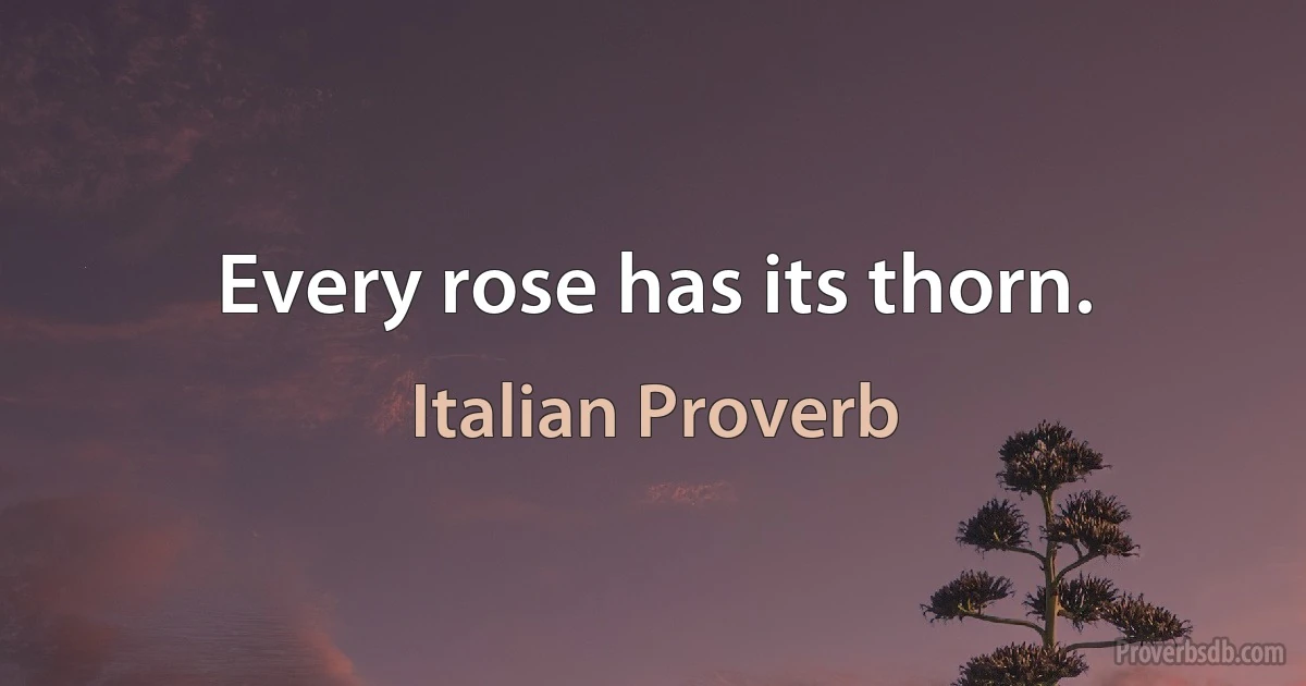 Every rose has its thorn. (Italian Proverb)