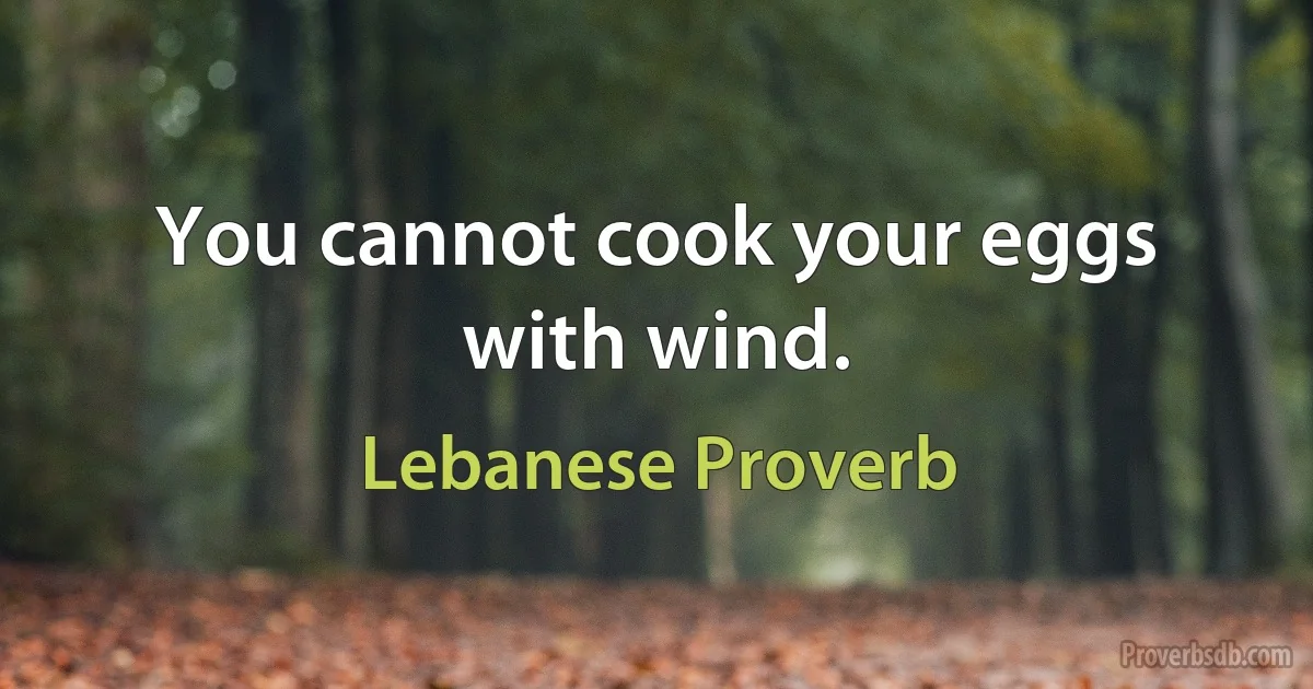 You cannot cook your eggs with wind. (Lebanese Proverb)