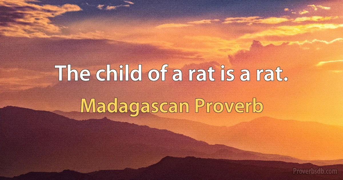 The child of a rat is a rat. (Madagascan Proverb)